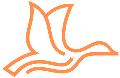 Little Village Learning Center LLC